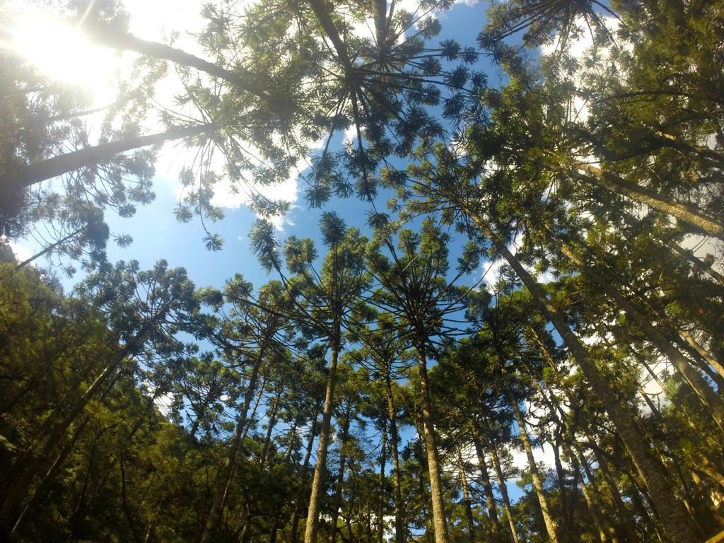 Green Village Hotel Monte Verde (Minas Gerais)